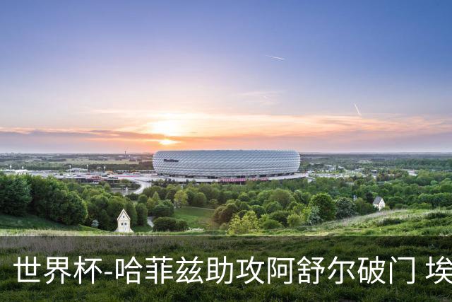 世界杯-哈菲兹助攻阿舒尔破门 埃及半场暂1-0澳大利亚